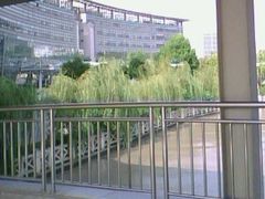 -上海中医药大学附属曙光医院(东部)