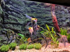 -上海海洋水族馆