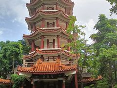 -深圳仙湖植物园