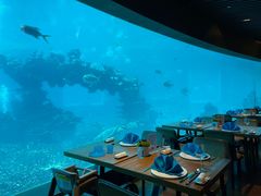 -海棠湾洲际-涛·海底餐厅·美人鱼·自助餐·海底隧道