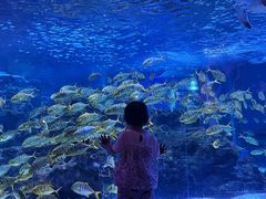 -海合安成都极地海洋公园