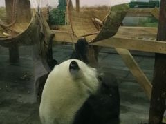 -无锡动物园·太湖欢乐园