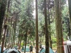-武陵山森林公园