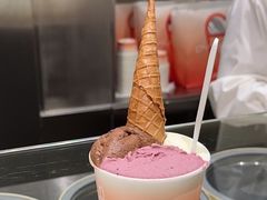 -Dip in Gelato(富民路店)