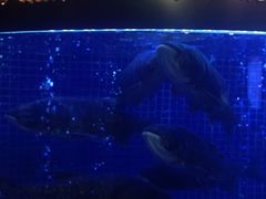-潇湘码头·鲜湘菜(清河店)