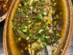 八仙过水鱼-醉八仙热酒馆(渝中店)