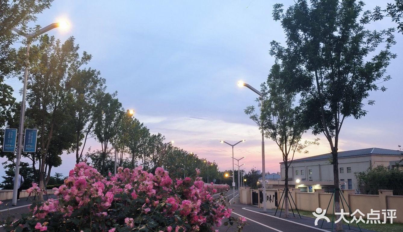 不愧是你！南京史诗级瑰丽晚霞