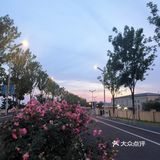 不愧是你！南京史诗级瑰丽晚霞