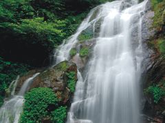 兰溪瀑布-江西阳明山国家森林公园