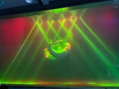 -芜湖新华联大白鲸海洋公园