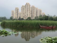-前关湿地公园