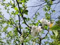 -虎哥私房菜(馒头山店)