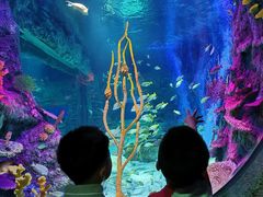 -沈阳海洋探索中心