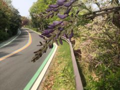 -宝界山林公园