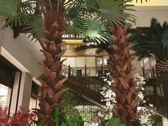 -太湖饭店玉兰厅(自助餐厅)