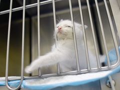 -美联众合动物医院·24h京西诊疗中心