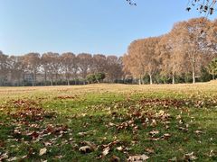 -河南省黄河迎宾馆