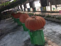 -北戴河集发农业梦想王国