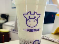 -一只酸奶牛(曲江龙湖星悦荟店)