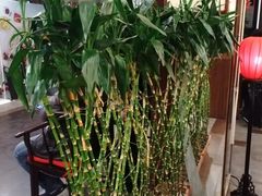 -百富源·海鲜辽菜(和平北大街店)