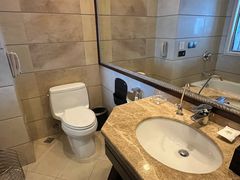 -长沙小天鹅戴斯酒店