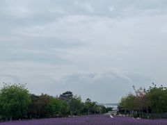-厦门园林博览苑