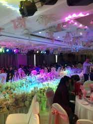 -恒阳大饭店·婚礼主题宴会厅