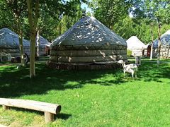 -九十九顶毡房(阜石路店)