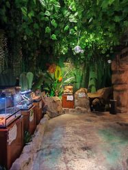 -酷嗒动物文化乐园(cutezoo西溪乐天城店)