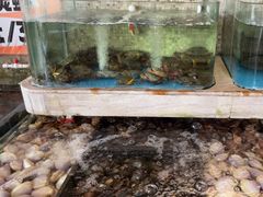 -阿杜打边炉(五江天街店)