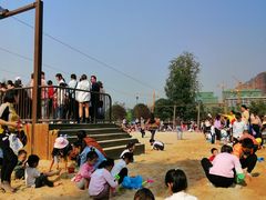 -枫香湖儿童公园