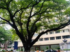 -元氏钵仔糕(北京路店)