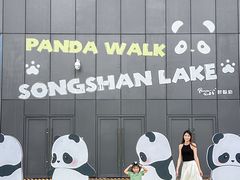 -东莞松山湖万象汇