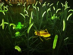 -燕郊植物园