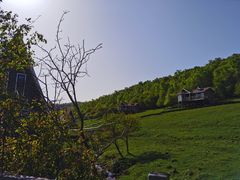 -关山草原
