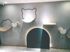-飞行喵MR PILOT|猫舍·猫咖(静安大融城店)