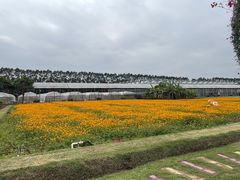 -迪茵湖田家舍生态农场