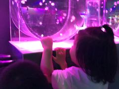 -大连圣亚海洋世界