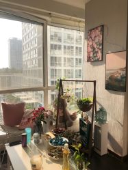 -Hi Skin皮肤管理中心