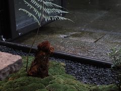 -Metal hands·铁手咖啡