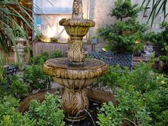 -more than meow吴止猫主题餐厅(承德 中船汇店)