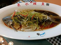 泉水鲤鱼128元-燕喜堂·中华老字号(大明湖店)
