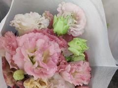 -循礼门鲜花花市(武汉循礼门店)