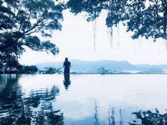 -大埔公路-马料水段香港中文大学(公交站)