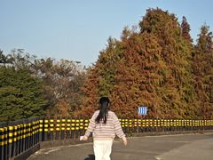 -新地休闲农场
