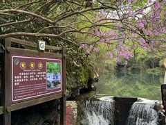 -石台牯牛降景区