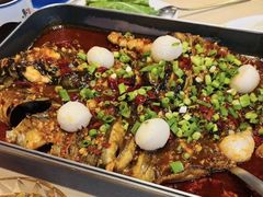 -鱼酷活鱼烤鱼(沈阳大悦城店)