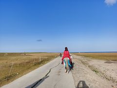 -青海湖国家重点风景名胜区