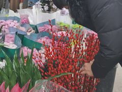 -秦美花卉(天朗·莱茵小城2期店)