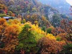 -少华山国家森林公园
